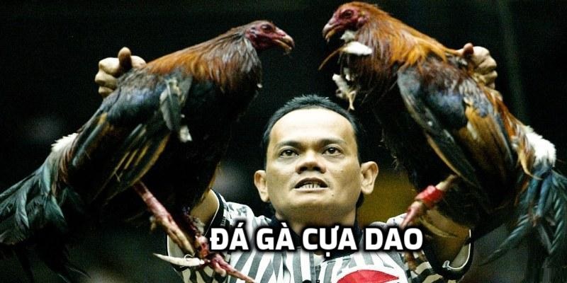 Đá gà cựa dao UW99