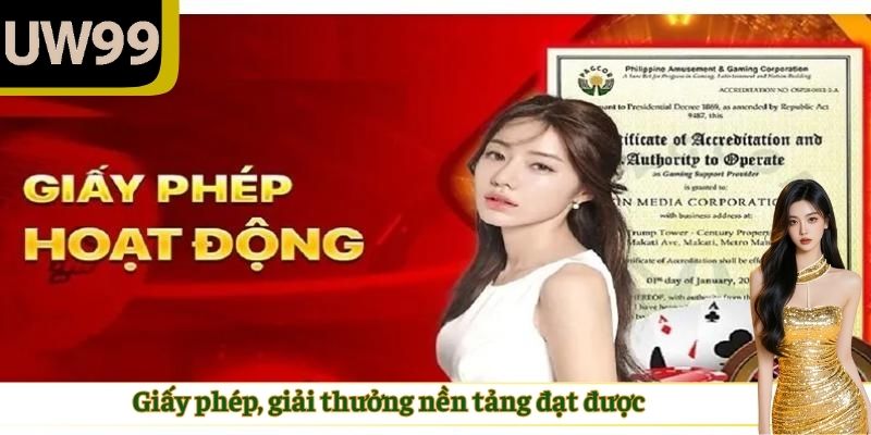Giấy phép, giải thưởng nền tảng đạt được
