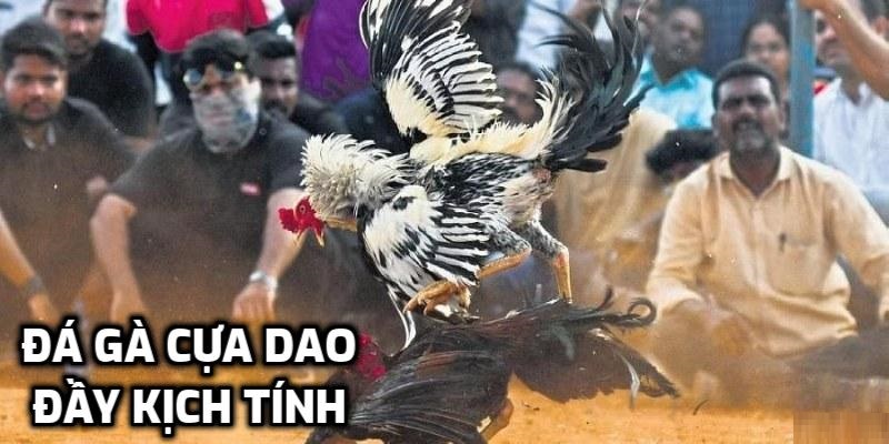 Phương pháp xác định chiến kê hiệu quả