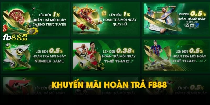 Tham gia hoàn trả thua cược vào hàng tuần