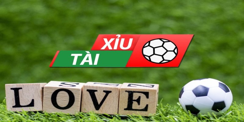 Tìm hiểu cách đọc với dạng tài xỉu 1.25 trái