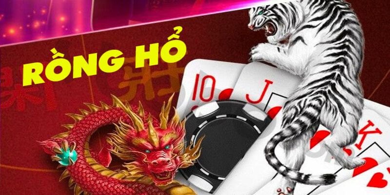 Kinh nghiệm chơi rồng hổ